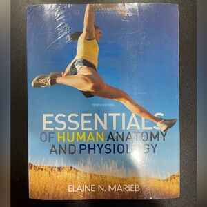 Essentials of Human Anatomy and Physiology Book